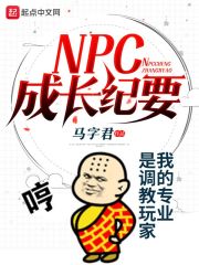 npc小哥成长之路