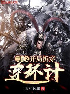 三国:开局接盘了