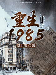 重生1985txt全集下载