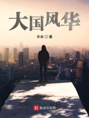 大国风华无错版