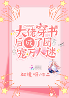 大佬穿书后成了团宠万人迷txt