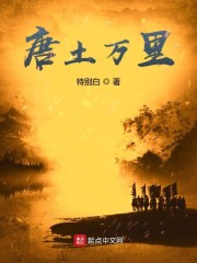 小说唐土万里