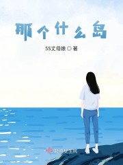 海南那个什么岛