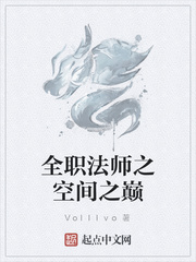 全职法师之空间之巅volllvo