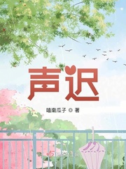 声迟什么意思