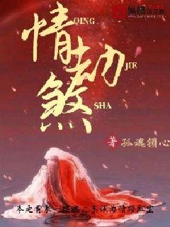 情劫煞是什么意思