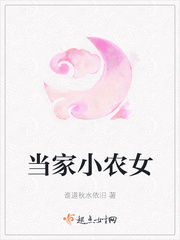 当家小农女卫絮小说