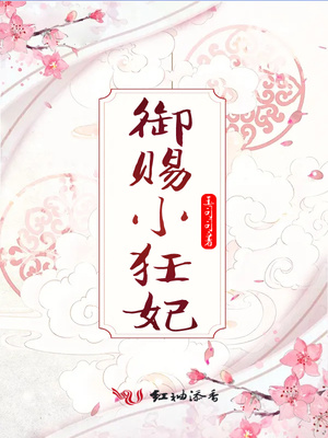 御赐小仵作小说名字